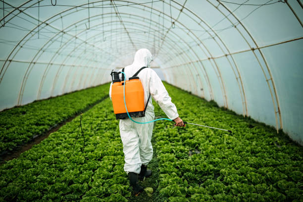 Best Emergency Pest Control  in Royal Palm Beach, FL