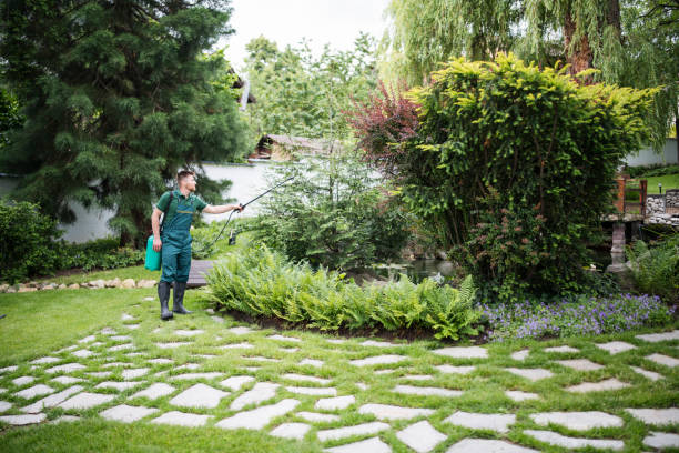 Best Pest Control Near Me  in Royal Palm Beach, FL